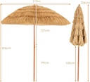 PARASOL Hawaii