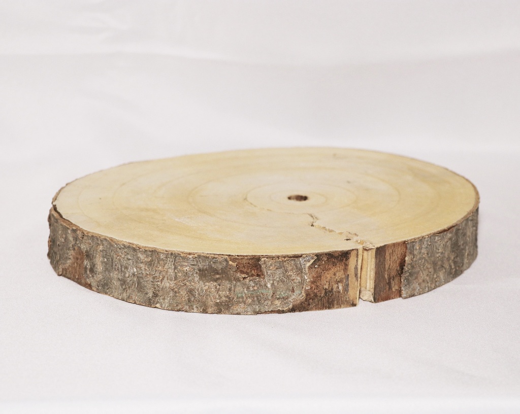 TRONCHI DI LEGNO