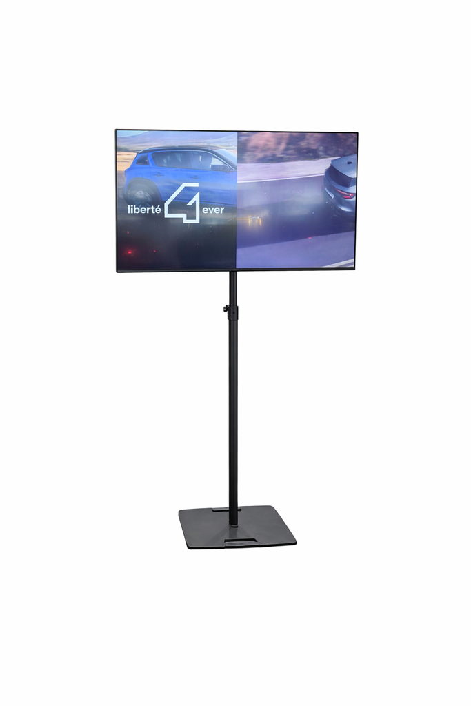 TV/Schermo Sharp da 50'' con supporto Gravity e staffa