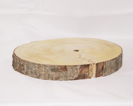 TRONCHI DI LEGNO